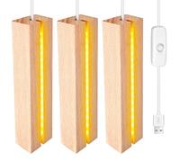Socle Lumineux LED en Bois: 3 Pièces Base de Présentation Rectangulaire avec USB, Support LED pour Cristal, Plaque Acrylique, Verre, Résine, 20cm de Long