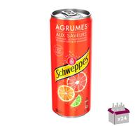 Soda Agrumes - 24 x 33 cL