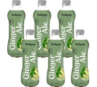 SODAPOP Bar-Edition Sirop de gingembre 500ml, concentré, 6 pièces, set de boisson