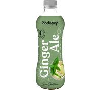Sodapop Sirop Ginger Ale pour fontaine à eau (bouteille de 500ml)