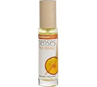 SODASAN Homespray Fresh Orange