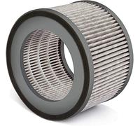 Soehnle Filtre de remplacement pour Airfresh Wash 500, pour une qualité d'air optimale, filtre à charbon actif interchangeable, filtre de remplacement pour de haute performance de nettoyage