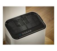 Soehnle Purificateur d'air et Humidificateur Airfresh Wash 500 68092