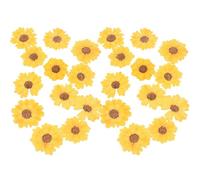 SOESFOUFU Lot de 24 Fleurs Séchées de Marguerite Jaune pour Décoration de Coque de Téléphone et Loisirs Créatifs DIY, Fleurs Pressées Naturelles et Élégantes