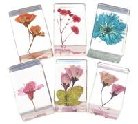 SOESFOUFU Lot de 6 Spécimens D'ambre en Résine Fleurs Séchées, Presse-livres Rectangulaire Portable et Décoratif pour Collection et Présent Unique Plusieurs styles