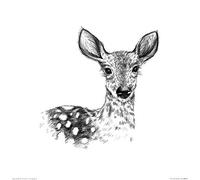 Sofie Rolfsdotter (Deer 40 x 40 cm Toile Imprimée