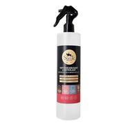 SOFOLK - Imperméabilisant Extrême | Spray hydrofuge | Idéal pour la Protection de toutes surfaces : Cuir, Tissu, Nubuck, Chaussures, Baskets, Canapés, Sac, Vestes, Blouson | 500ml
