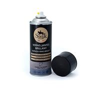 Sofolk - Vernis Jantes Aluminium - Entretien, Rénovation, Protection de Toute Surface en Aluminium et Acier Inoxydable - Anti UV, Transparent, Non Jaunissant - Idéal pour Jantes et Enjoliveurs