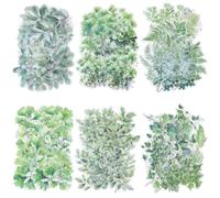 SOFPLATE 1 boîte de 120 feuilles 6 styles D'Autocollants en PET Autocollants Transparents pour Plantes Printemps Été Nature Vert Éphémères Autocollants Esthétiques pour Scrapbooking Journal Décoration