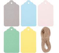 SOFPLATE 1 boîte de 200 étiquettes en Papier Vierges de 5 couleurs Étiquettes Cadeaux en Papier avec Ficelle Vert Rouge Bleu Argent Rose Étiquettes de Prix à Suspendre Double Face Disponibles Étiquett