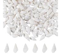 SOFPLATE 1 boîte de 350 Petits Coquillages Blancs en Vrac Mini Coquillages en Spirale Miniatures sans Trou pour la Plage L'Océan Trompette Coquillage Naturel pour L'Artisanat Fête de Mariage Aquarium