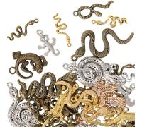 SOFPLATE 1 boîte de Breloques Serpent 100G Breloques Vintage ques en Alliage Petit Style Tibétain Mixte Punk Lézard Lien Suspendu en Métal Pendentif pour la Fabrication de Bijoux Breloques Colliers B