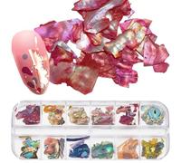 SOFPLATE 12 grille de Coquillages pour Nail Art Paillettes Holographiques Colorées Brillantes Irrégulières Coquillages Plage D'Été 3D Irisées Accessoires de Manu à Faire Soi Même Ensemble de Paillette