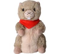 Soframar Bouillote Cozy Peluche Marmotte 1 Unité
