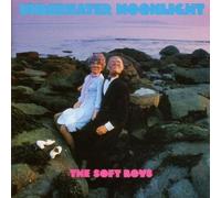 Soft Boys, The - Underwater Moonlight