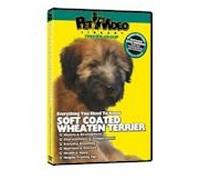 SOFT COATED WHEATEN TERRIER DVD + Dog & Puppy Training Bonus!