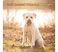 Soft Coated Wheaten Terriers Calendar 2026: Organizer For Home & Office From January to December For Men, Women