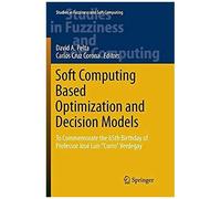 Soft Computing Based Optimization And Decision Models