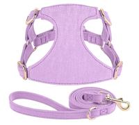 Soft Confortable Meshable Mesh Cotton A Réglable Dog Training Harness Lash Set pour Chihuahua Yorkshire Schnauzer Pug,Violet,XS