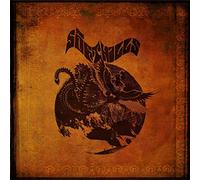 The Soft Hills The Bird Is Coming Down to Earth (Vinyl) 12" Album