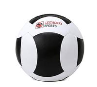 Soft Leather Wall Ball Fitness Ball Core Balance Training Ball in Home Gym Yoga Hall 3 Colors 2kg/4kg/6kg/8kg/10kg (Color : Red+Black Size : 10kg/22lb) (Black+White 10kg/22lb)