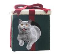 Soft Pet Bed | Cat Houses | Indoor Cat Bed | Cozy Pet House | Comfortable Cat Bed | Cute Cat House | Box Shape Cute Closed Pet Cave Bed for Indoors Large Warm Cat Cave for Pet Cat and Dog House