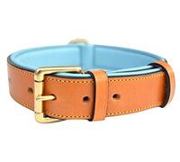 Soft Touch Collars Collier rembourré en cuir véritable pour chien, marron clair avec rembourrage bleu sarcelle, 61 cm de long x 3,8 cm de large, tour de cou de 45,7 cm à 53,3 cm