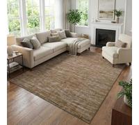 Softlyle Tapis Salon 110x190cm Tapis Doux à Poils Courts Lavable en Machine Antidérapant pour Cuisine Chambre Manger Modern Abstract Brown