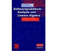 Softwarepraktikum - Analysis und Lineare Algebra Bahns, Dorothea,Schweigert, Christoph (Auteur)