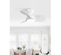 Sofucor Ventilateur Plafond avec Lumiere et Telecommande, 58cm, Silencieux DC Réversibles, Minuterie, 6 Vitesses, 3CT LED Lampe Ventilateur Plafond pour Salons Chambre