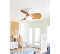 Sofucor Ventilateur Plafond avec Lumiere et Telecommande, 58cm, Silencieux DC Réversibles, Minuterie, 6 Vitesses, 3CT LED Lampe Ventilateur Plafond pour Salons Chambre