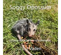 Soggy Opossum: Surprise at the bottom of a drainpipe