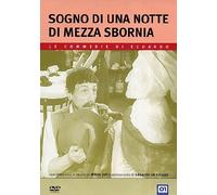 Sogno una Notte di Mezza sbornia [Import]