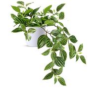 SOGUYI Fausse Plante avec Pot 38cm Plante Artificielle Interieur Exterieur de Plantes Artificielles en Plastique Très Réalistes pour Salon Appartement Salle de Bain Cuisine Balcon(1 Stück)