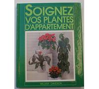Soignez vos plantes d'appartement : Comment garder de belles plantes