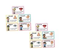 SOIMISS 2 Ensembles Cartes Dapprentissage pour Garçon Fille Posters Éducatifs Sensoriels pour Tout Développement Cognitif et Supports Polyvalents pour Maternelle et Apprentissage à