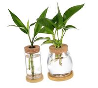 SOIMISS 2 pièces Vase Verre pour Plantes Hydroponiques avec Couvercle Liège et Plateau Station de Propagation Eau Intérieure Pot Transparent pour Culture sans Terre Décoration Salon