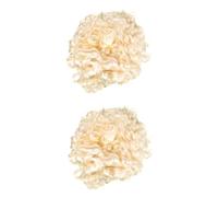 SOIMISS 2pièces Perruque De Juge Et Avocat Pour Cosplay Accessoire De Costume Pour Pour Et Événements Look Naturel Et Et Confortable à Porter