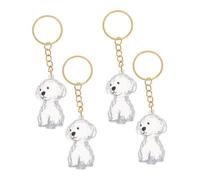 SOIMISS 4 Pièces Porte Clés Souvenir Poils de Chien Transparent Pendentif Capsule pour Amoureux des Animaux Porte Clés Commémoratif pour Propriétaires de Chiens