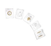 SOIMISS 5 Ensembles Kits de Démonstration de Champ Électrique et Magnétique avec Boîte de Limaille de Fer, Outil Pédagogique de Physique et Électromagnétisme pour Expériences Scientifiques