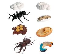 SOIMISS 8 pièces Modèle Insecte Réaliste Cycle de Vie Fourmis Ouvrières Éducatif Cognitif Décoration Garçon Fille