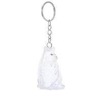 SOIMISS Capsule Porte-Clés Transparente pour Poils de Chat - Boîte de Rangement Commémorative en Plastique Solide Collection Portable de Poils D’Animaux Souvenir Commémoratif pour