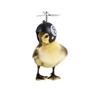 SOIMISS Casque de Protection en Plastique Léger et Amortissant Ajustable pour Poules pour Protéger Poules et Oiseaux Lot de 2 Pièces en Extérieur