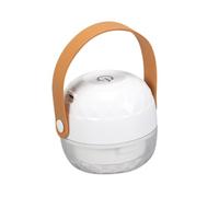 SOIMISS Éliminateur de Peluches Électrique Rechargeable USB Mini Tondeuse Portable pour Vêtements Pulls et Couvertures Rasoir Anti-Bouloches Blanc Compact Lame de Rechange Usage