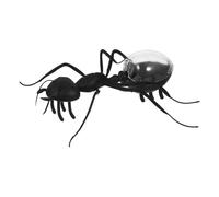 SOIMISS Jeu Insecte Solaire Fourmi Modèle Insecte pour Projets Scientifiques Garçon Fille Décoration de Jardin Jouet Intérieur et Extérieur
