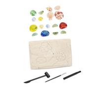 SOIMISS Kit Archéologie Garçon Fille Simulation Gemmes Fossiles DIY Éducatif Garçons Filles Matériel Sûr Plâtre et Apprentissage Fouilles et Ludique Cadeau Anniversaire Sciences et