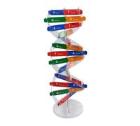 SOIMISS Kit Maquette Génétique 1 Ensemble, Modèle à Double Hélice en Papier, Jouet à Assembler pour Apprendre Les Gènes, Science Éducative