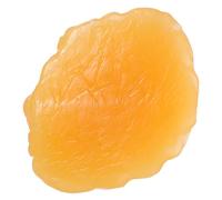 SOIMISS Modèle Anatomique Réaliste de Graisse Humaine 450 G Outil Pédagogique Portable pour Étudiants et Nutritionnistes Démonstration Scientifique du Tissu Adipeux pour Analyse