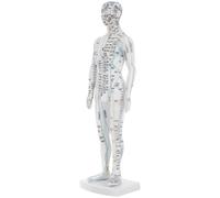 SOIMISS Modèle d'acupuncture du corps humain Modèle d'acupuncture par points de pression blanc plastique visualise les méridiens aide au repérage des points pour étudiants et acupuncteurs