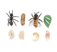 SOIMISS Modèles de Cycle de Vie des Abeilles et Fourmis pour Garçon et Filles, Taille Miniature, Plastique Sûr, Jouets Éducatifs pour Apprentissage Préscolaire et Observation